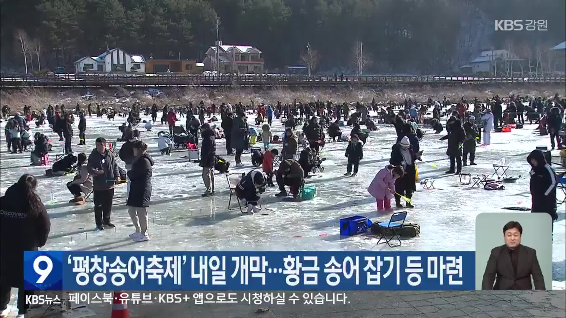 ‘평창송어축제’ 내일 개막…황금 송어 잡기 등 마련