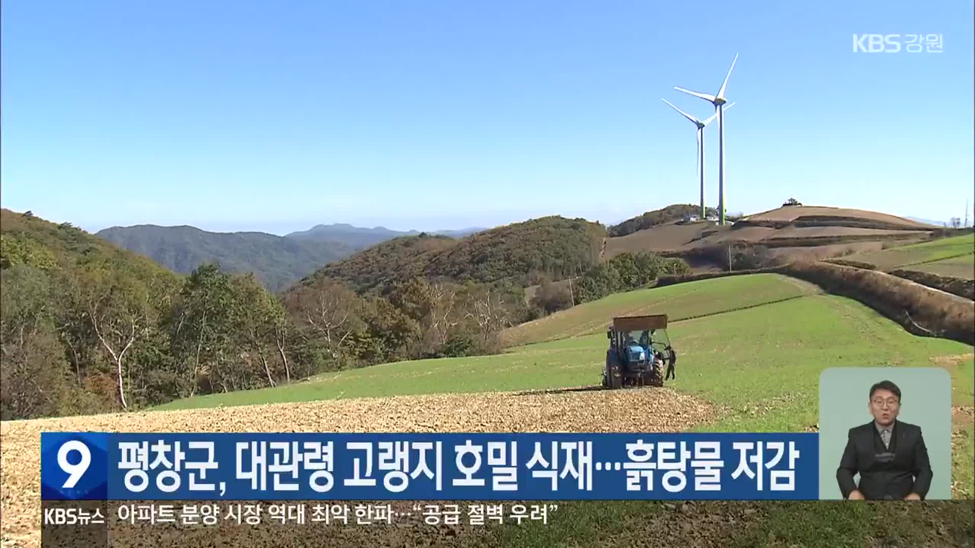 평창군, 대관령 고랭지 호밀 식재…흙탕물 저감