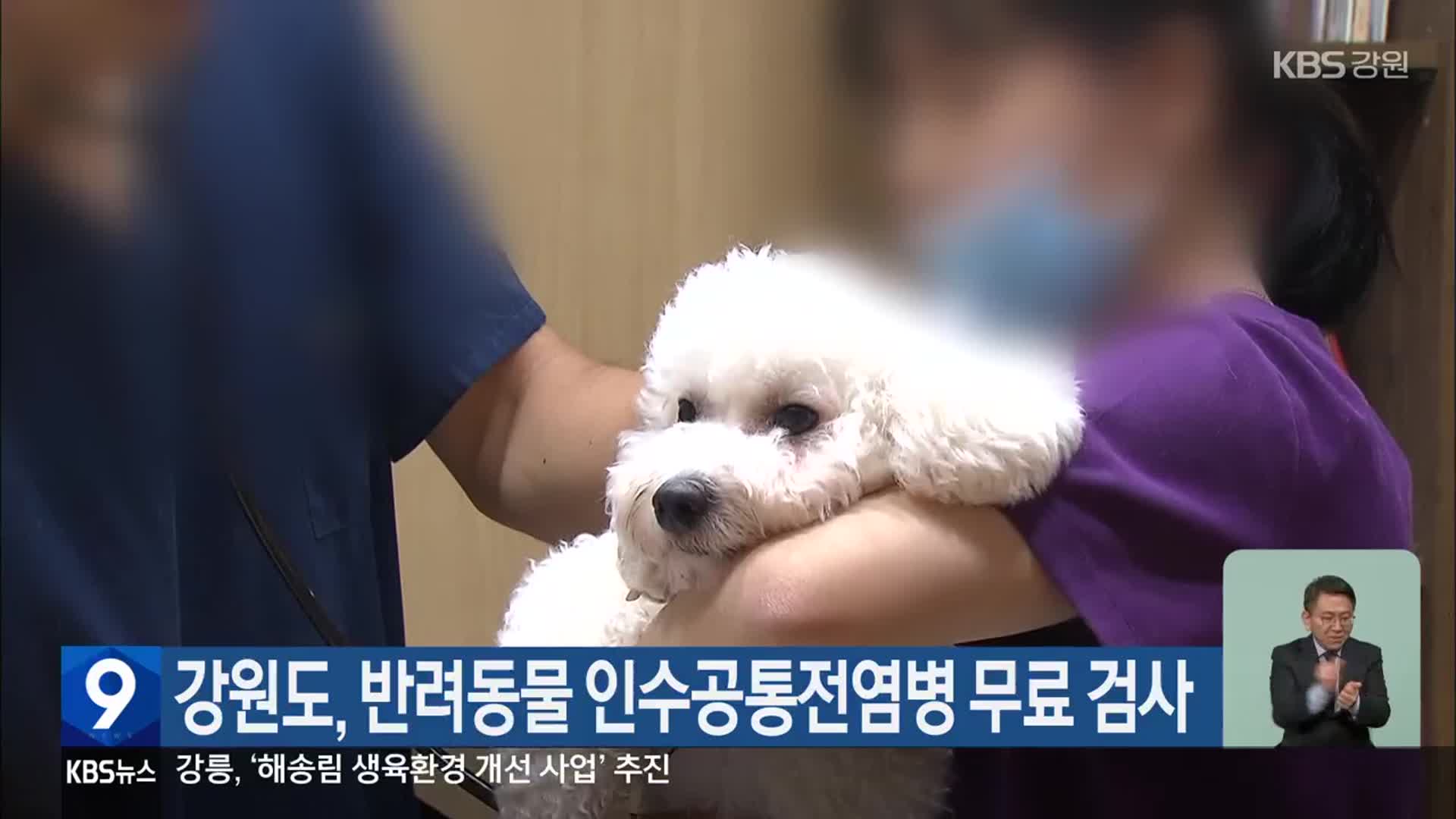 강원도, 반려동물 인수공통전염병 무료 검사
