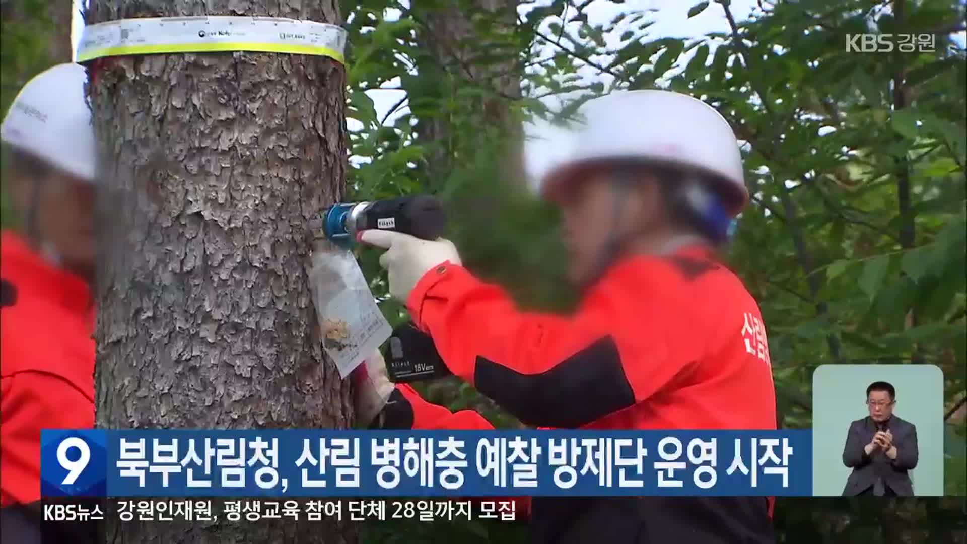 북부산림청, 산림 병해충 예찰 방제단 운영 시작