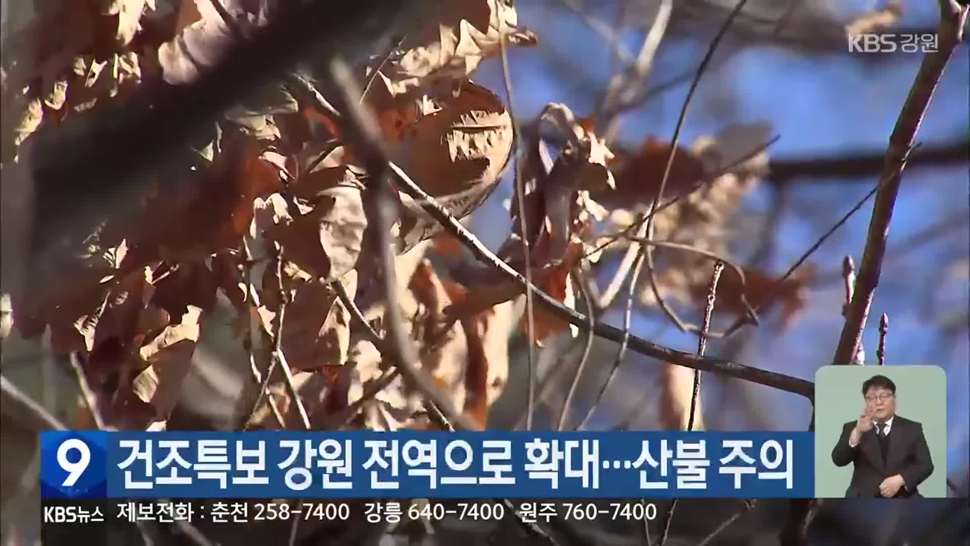 건조특보 강원 전역으로 확대…산불 주의