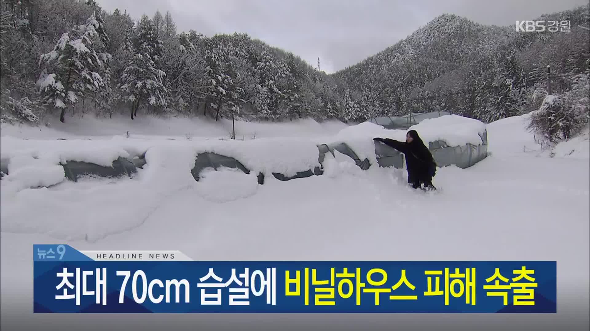 [뉴스9 강원 헤드라인]