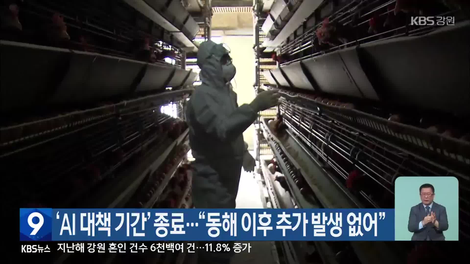 ‘AI 대책 기간’ 종료…“동해 이후 추가 발생 없어”