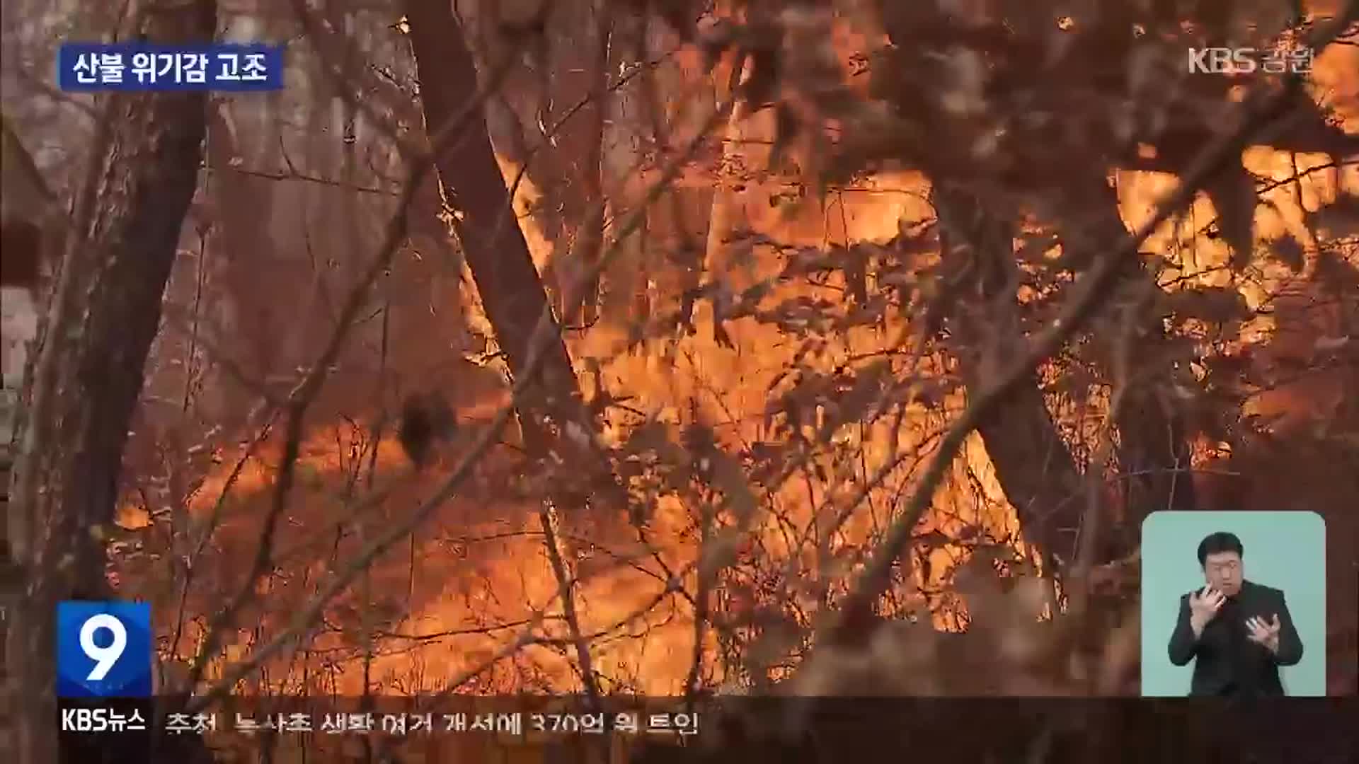 장기화된 산불로 위기감 고조…“꺼진 불도 다시 보자”