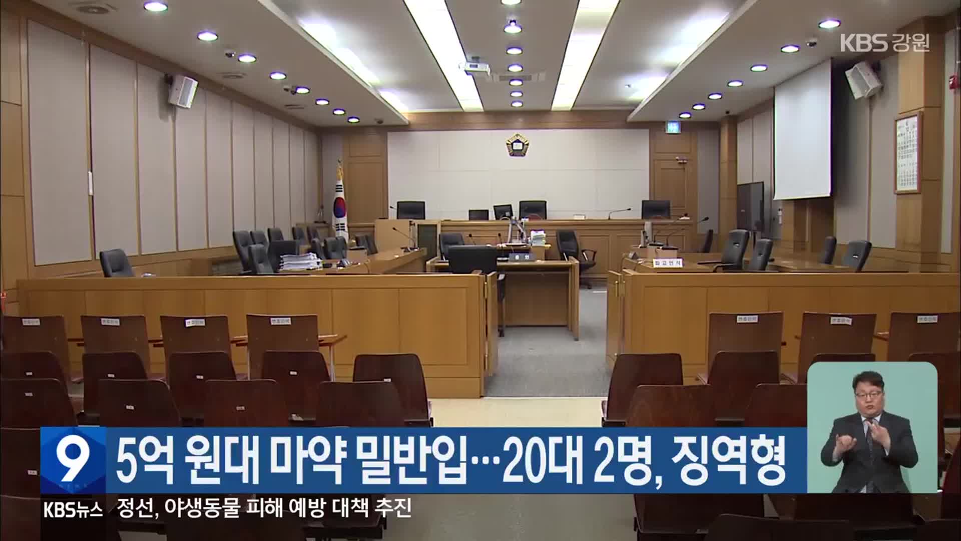 5억 원대 마약 밀반입…20대 2명, 징역형