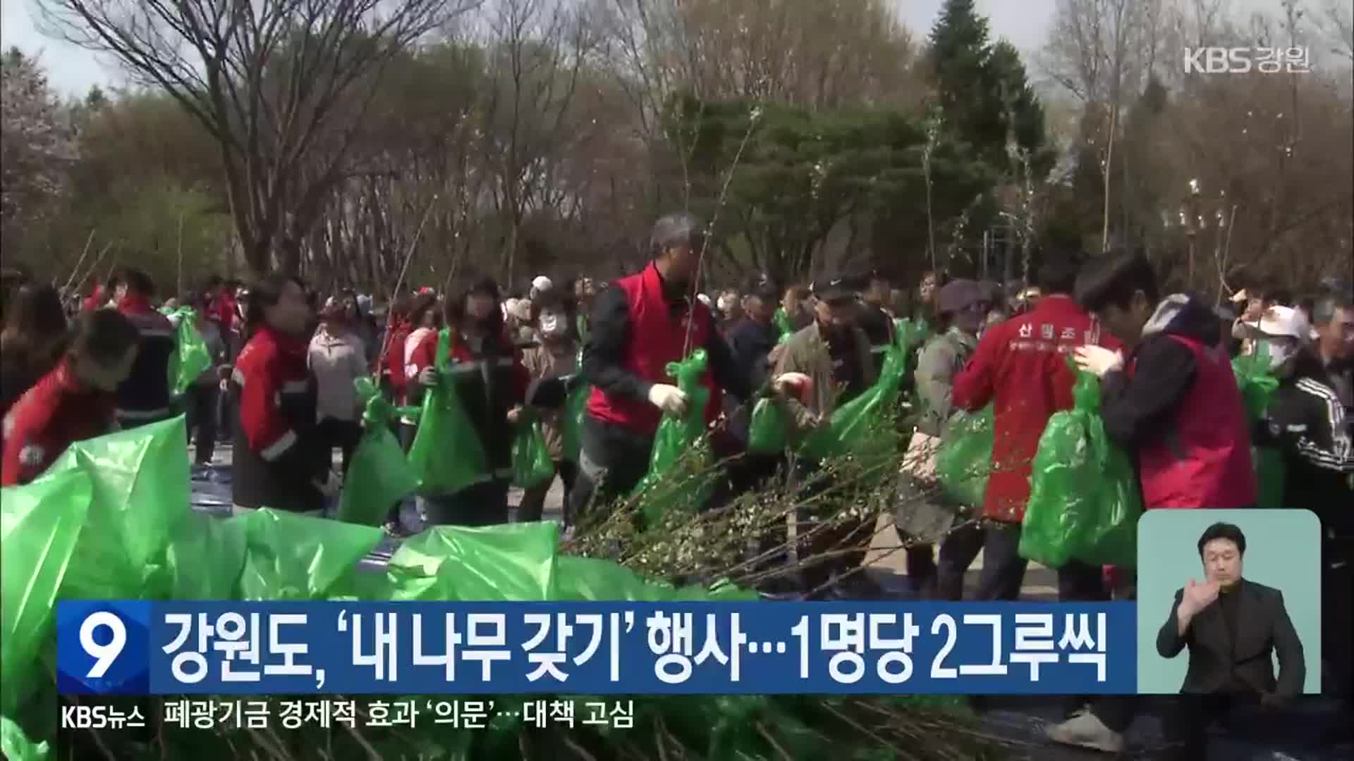 강원도, ‘내 나무 갖기’ 행사…1명당 2그루씩