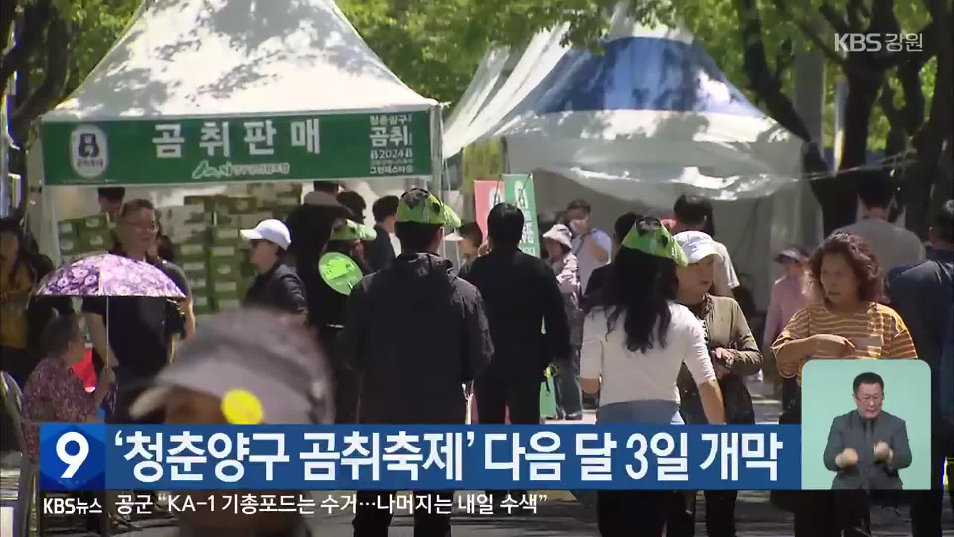 ‘청춘양구 곰취축제’ 다음 달 3일 개막