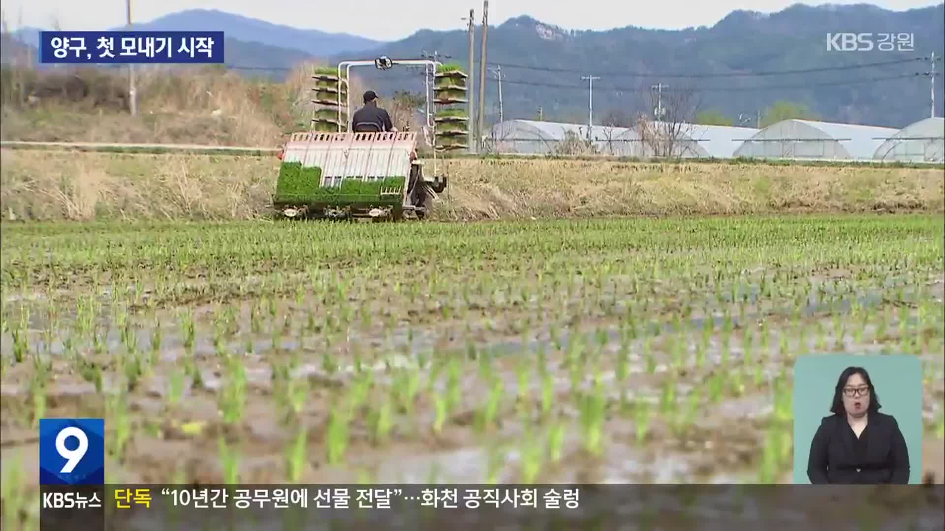 양구, 첫 모내기…“올해 쌀값 좋았으면”