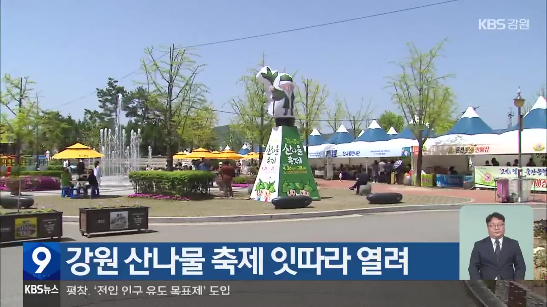 강원 산나물 축제 잇따라 열려