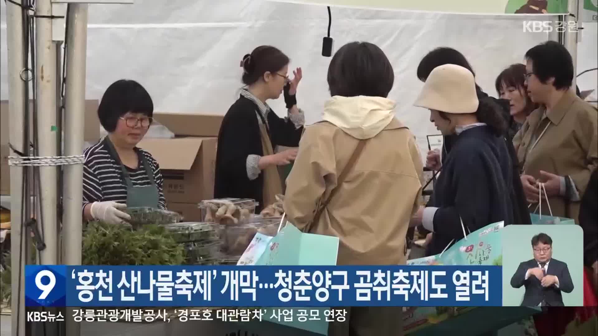 ‘홍천 산나물축제’ 개막…청춘양구 곰취축제도 열려