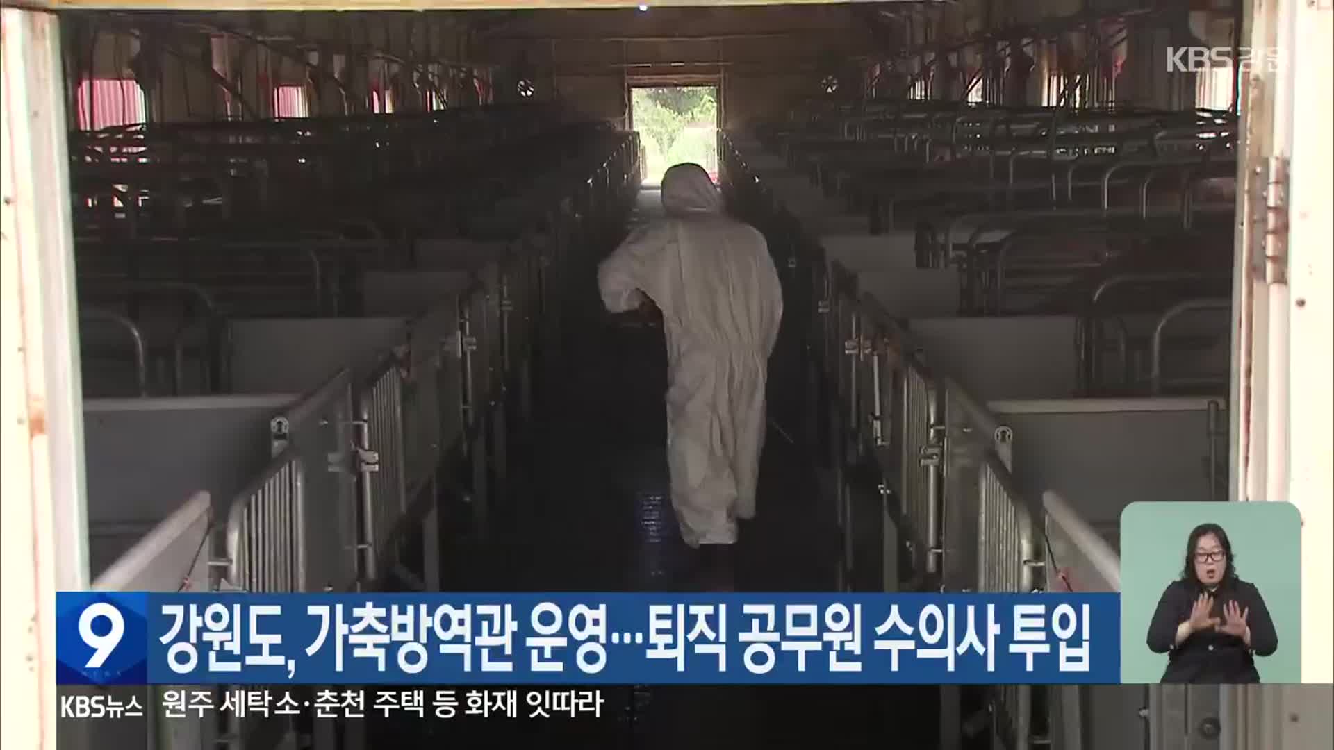 강원도, 가축방역관 운영…퇴직 공무원 수의사 투입