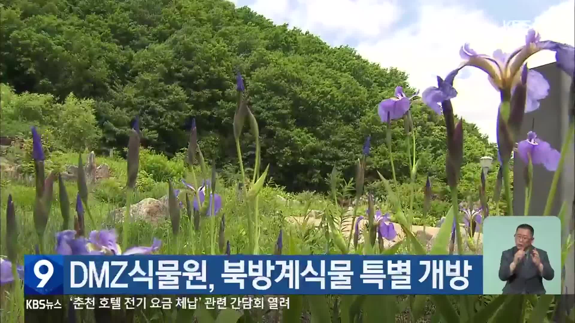 DMZ식물원, 북방계식물 특별 개방