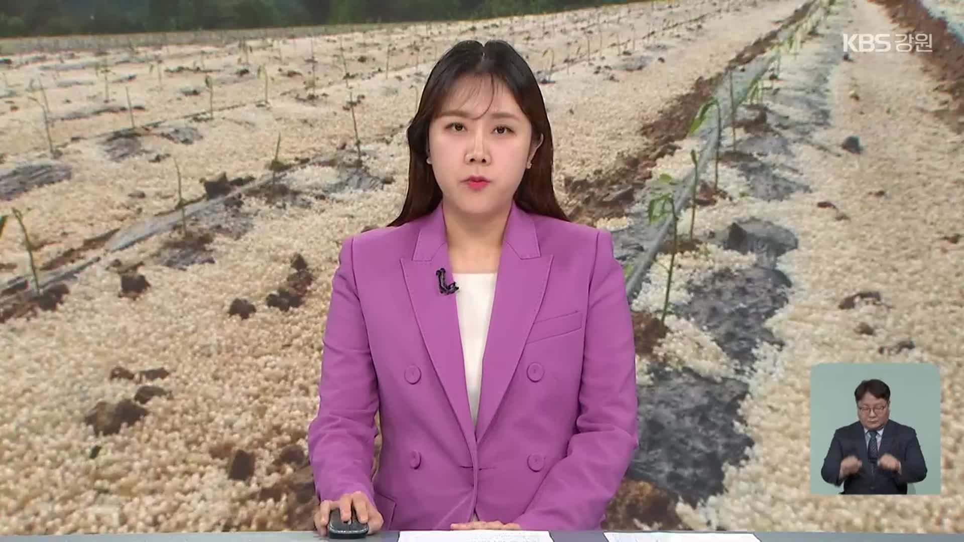 [뉴스9 강원 오프닝]