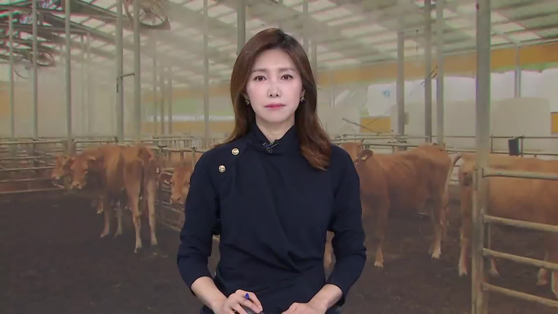 [뉴스9 강원 오프닝]