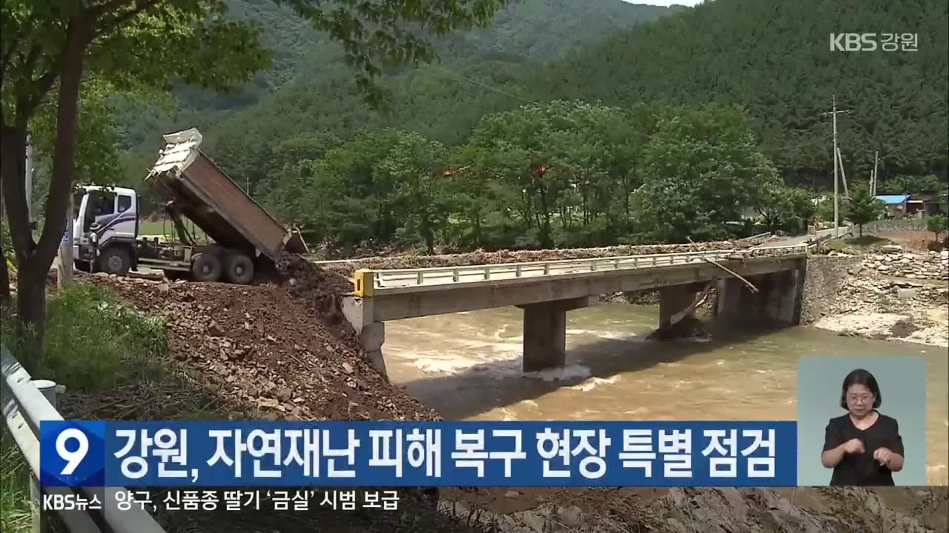 강원, 자연재난 피해 복구 현장 특별 점검