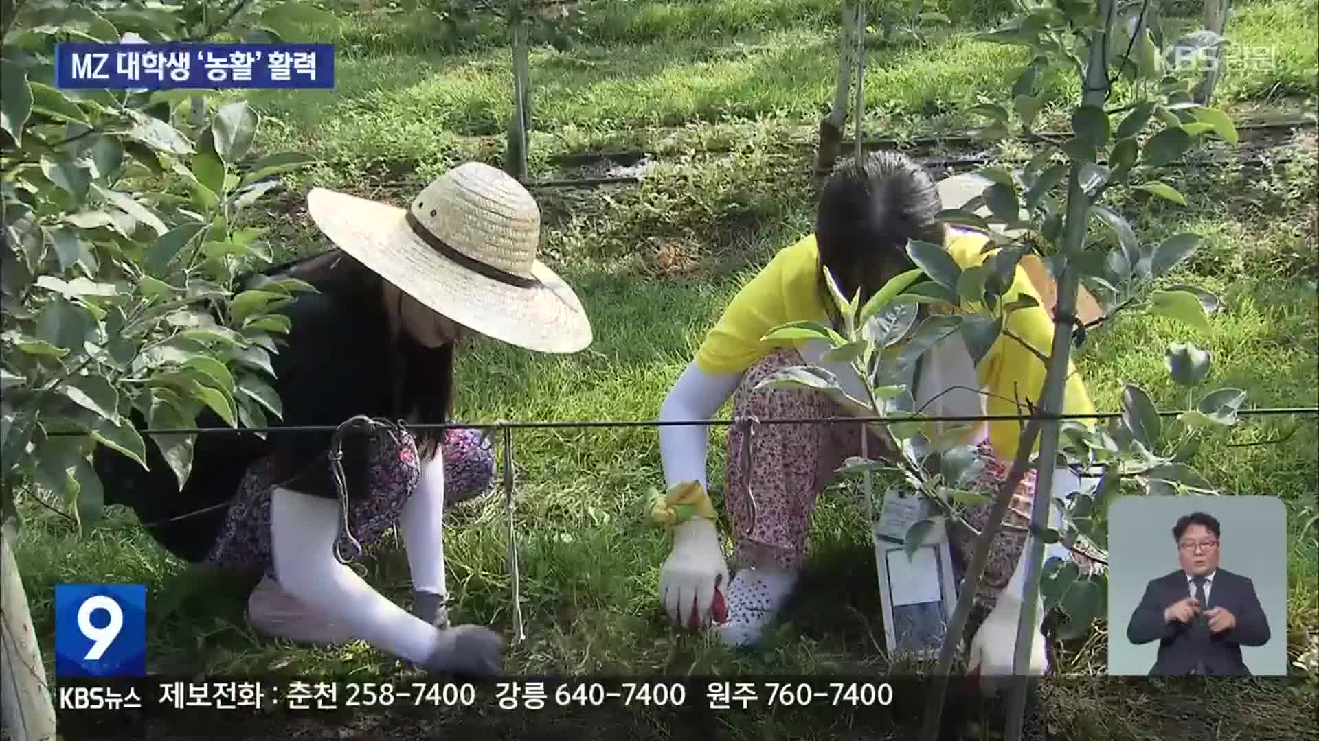MZ세대 ‘농활’, 소멸 위기 농촌에 ‘활력’