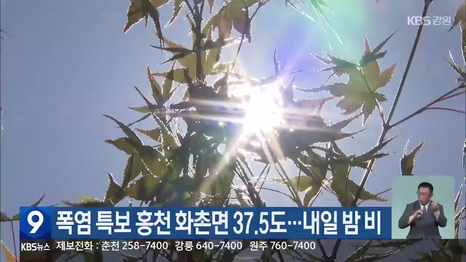 폭염 특보 홍천 화촌면 37.5도…내일 밤 비