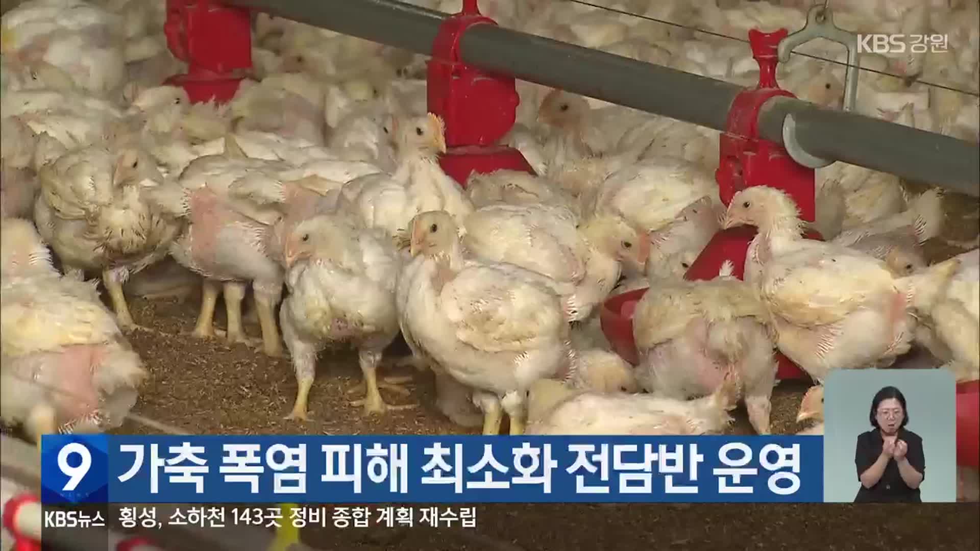 가축 폭염 피해 최소화 전담반 운영