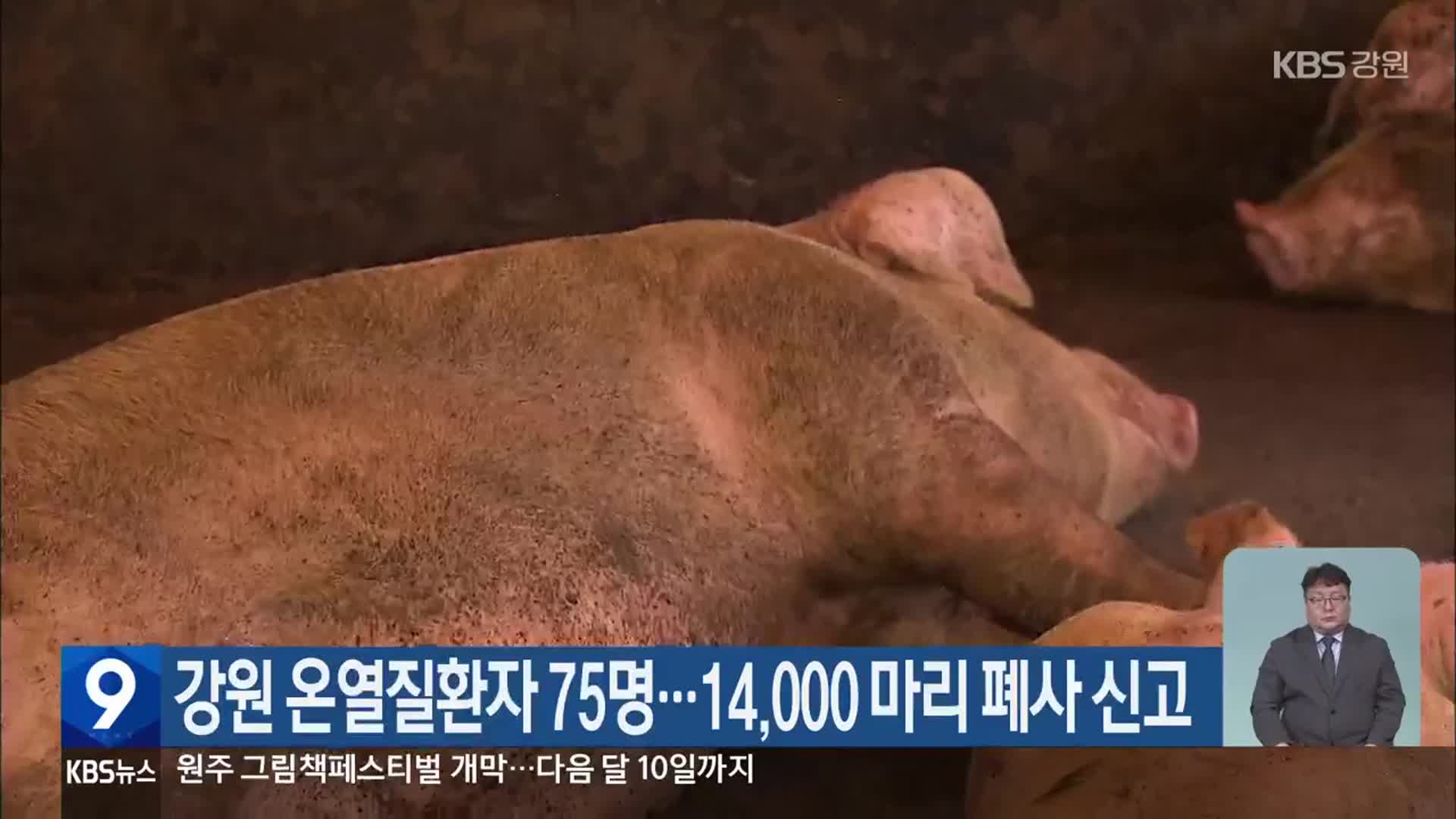 강원 온열질환자 75명…14,000 마리 폐사 신고