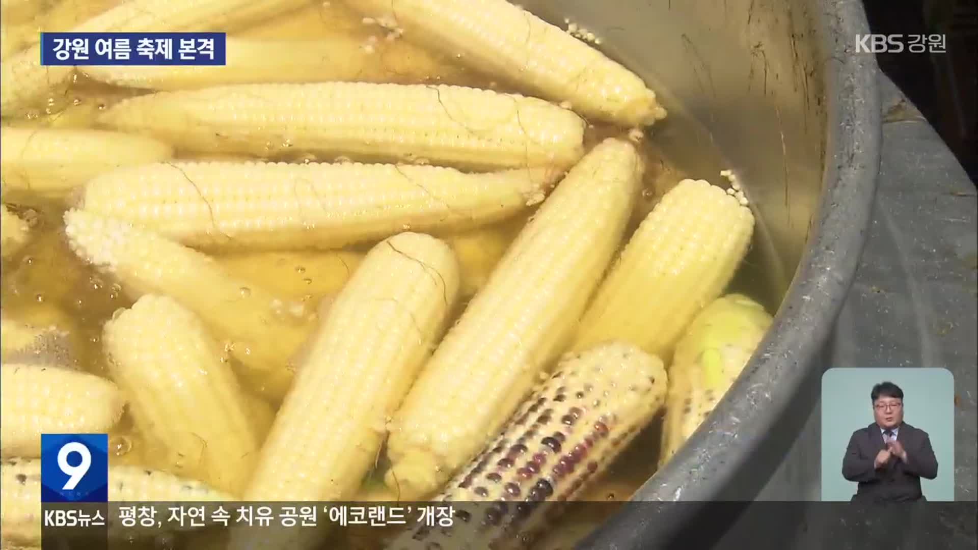 찰옥수수 먹고 물놀이 하고…여름 축제 본격