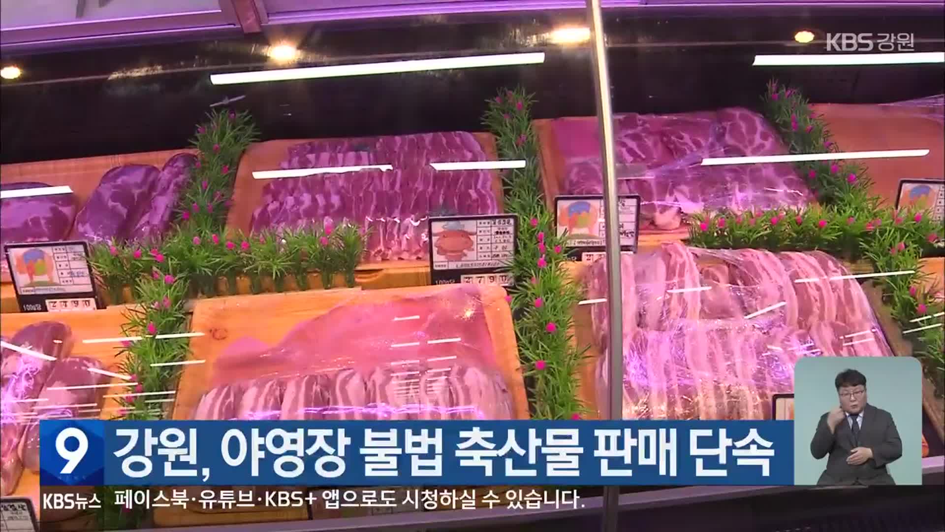 강원, 야영장 불법 축산물 판매 단속
