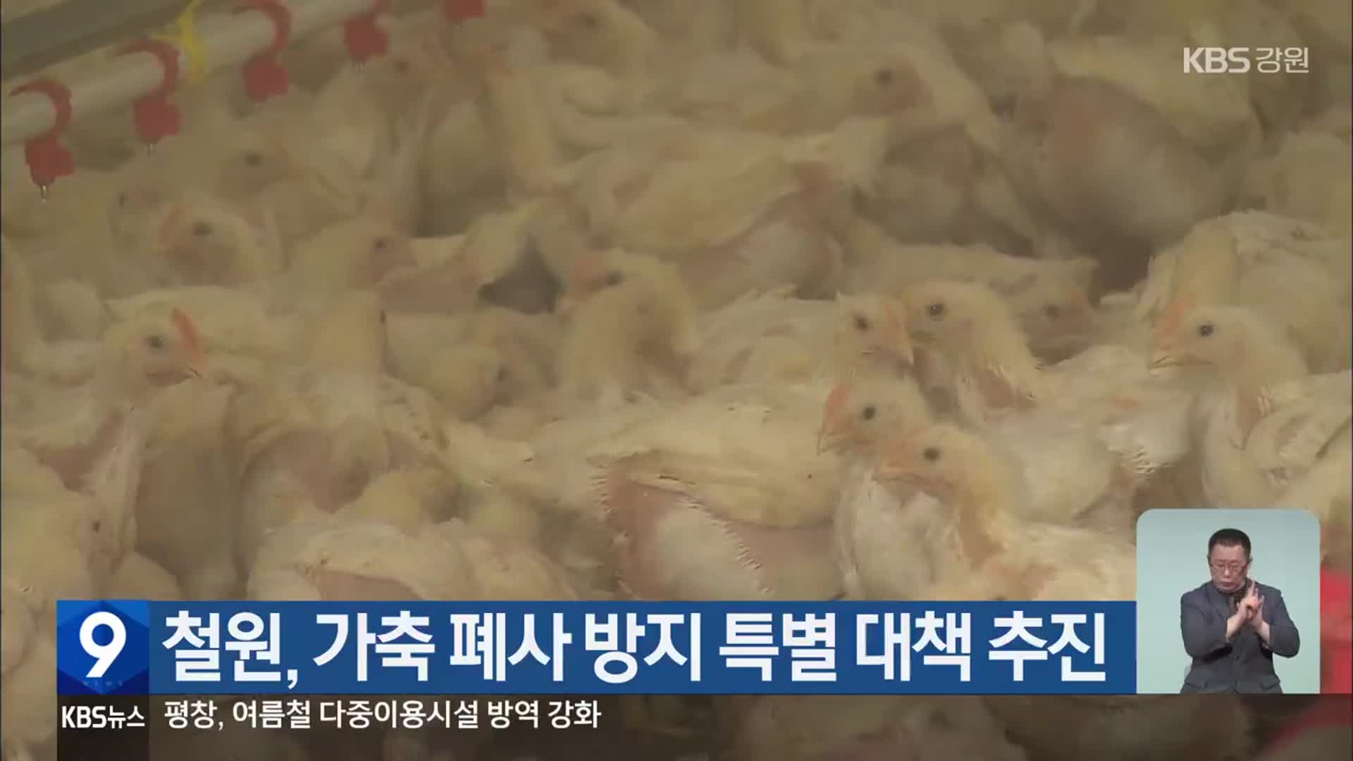 철원, 가축 폐사 방지 특별 대책 추진