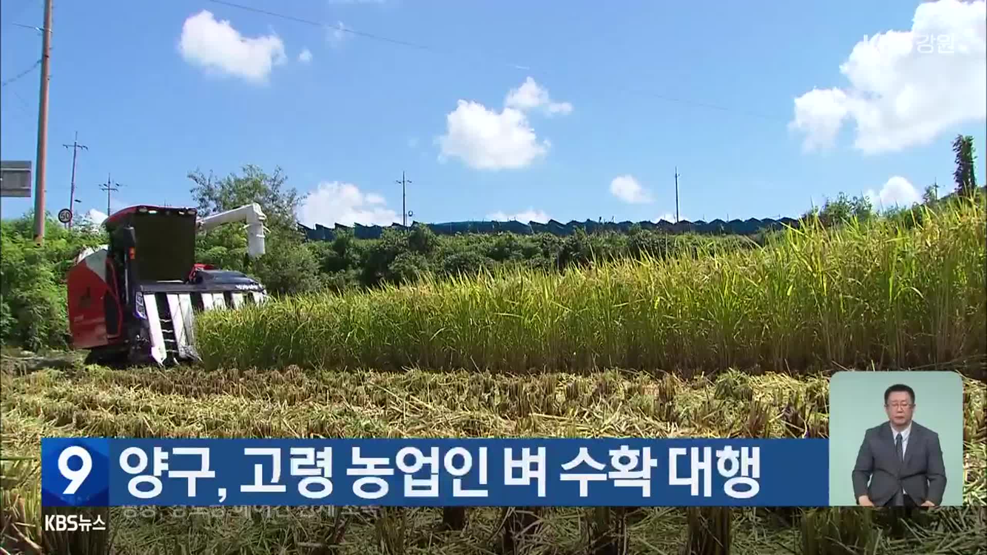 양구, 고령 농업인 벼 수확 대행