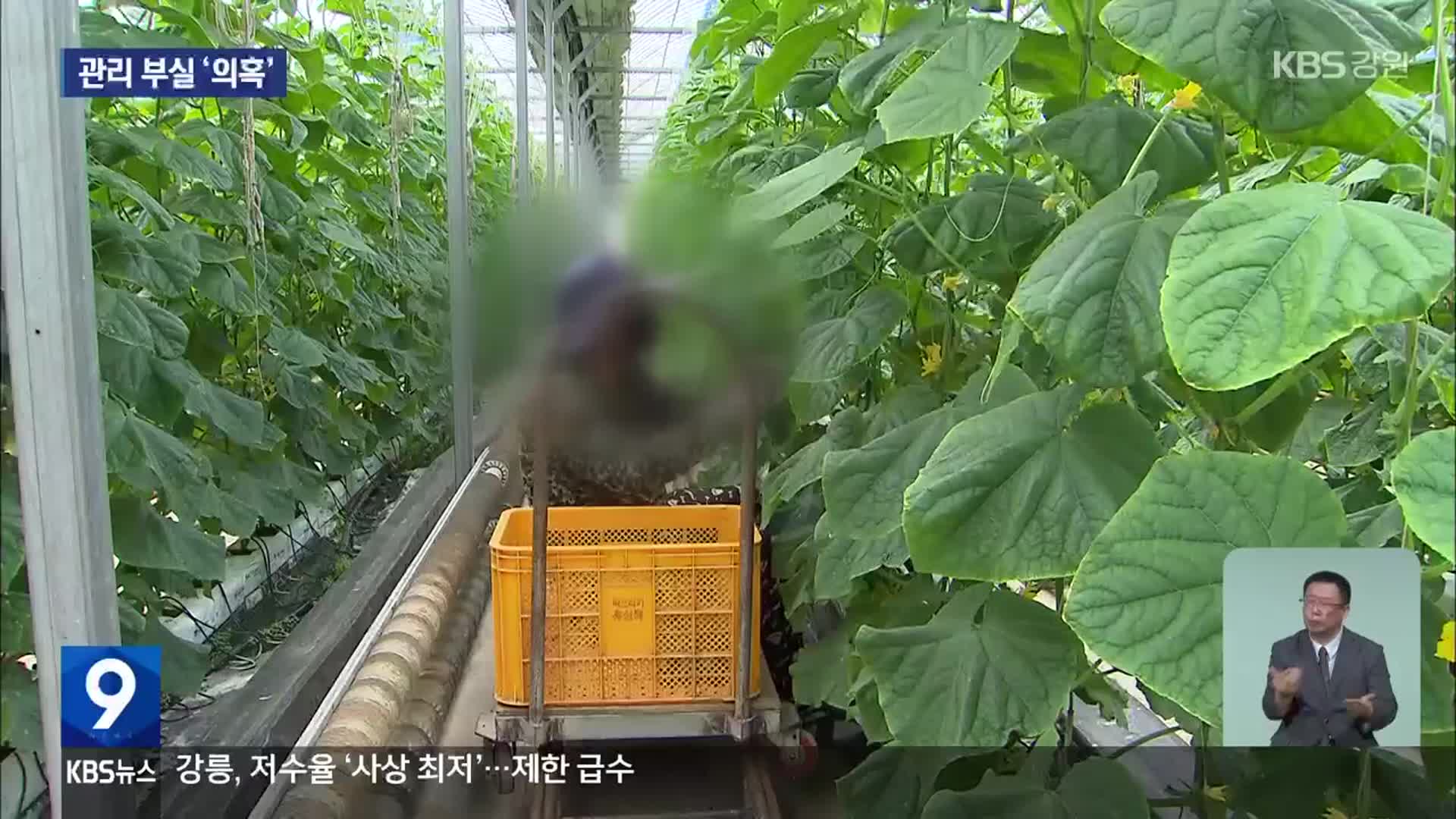 2년 전부터 활동했는데 ‘미등록 업체’…“양구군 뭐 했나”