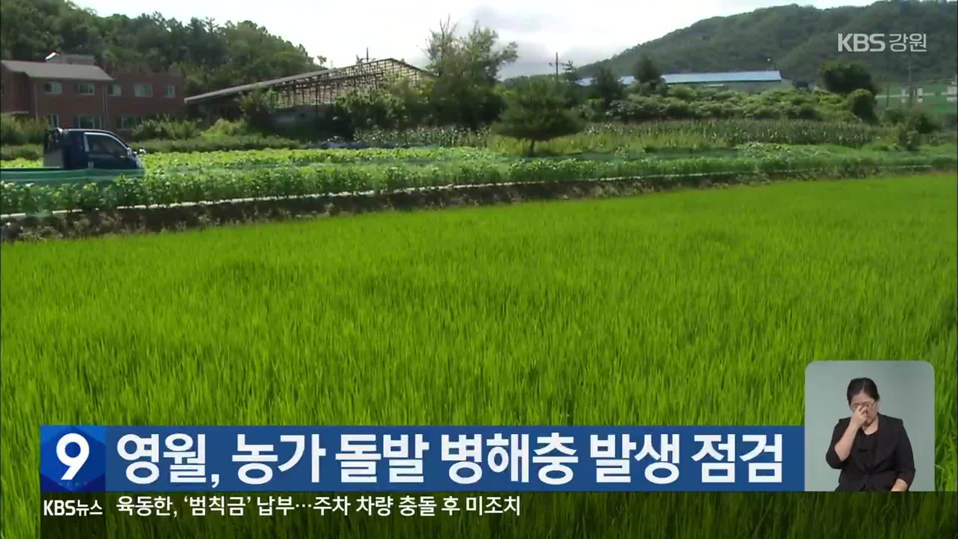 영월, 농가 돌발 병해충 발생 점검