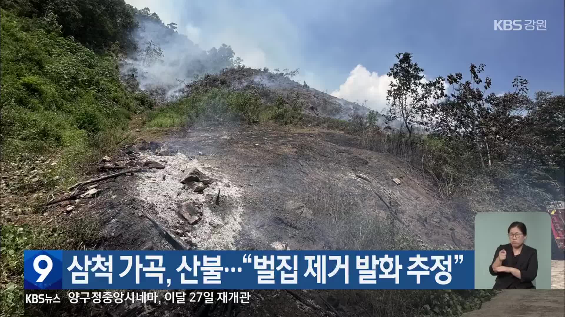 삼척 가곡, 산불…“벌집 제거 발화 추정”