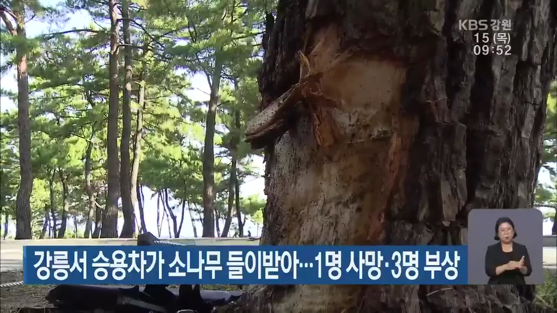 강릉서 승용차가 소나무 들이받아…1명 사망·3명 부상