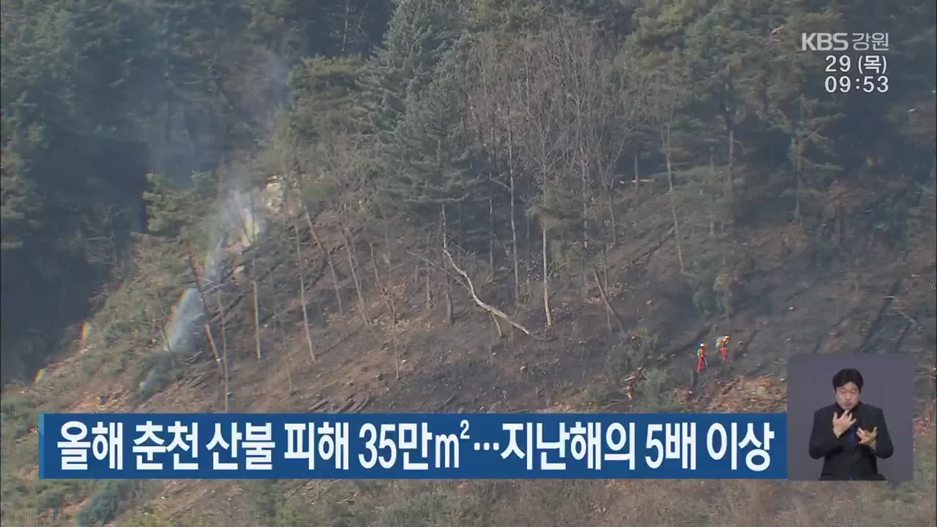 올해 춘천 산불 피해 35만㎡…지난해의 5배 이상