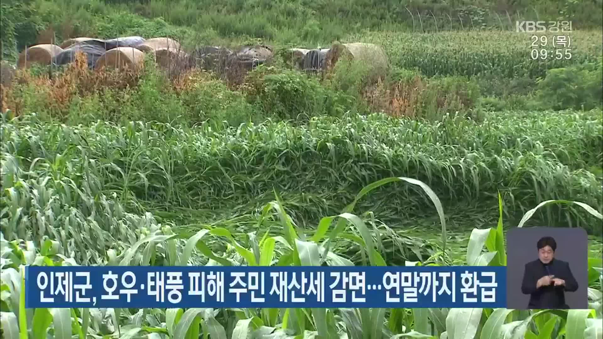 인제군, 호우·태풍 피해 주민 재산세 감면…연말까지 환급