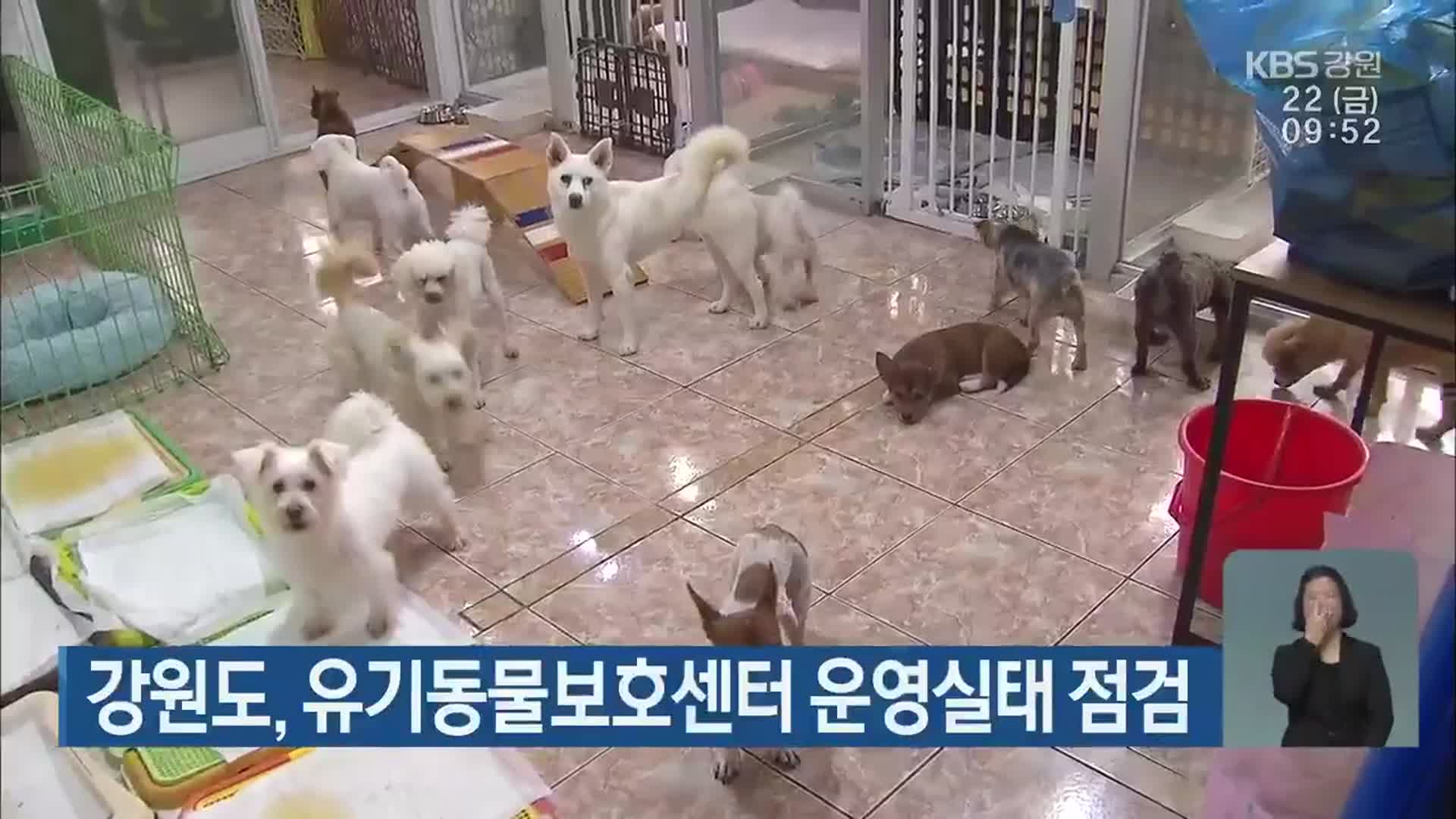 강원도, 유기동물보호센터 운영실태 점검
