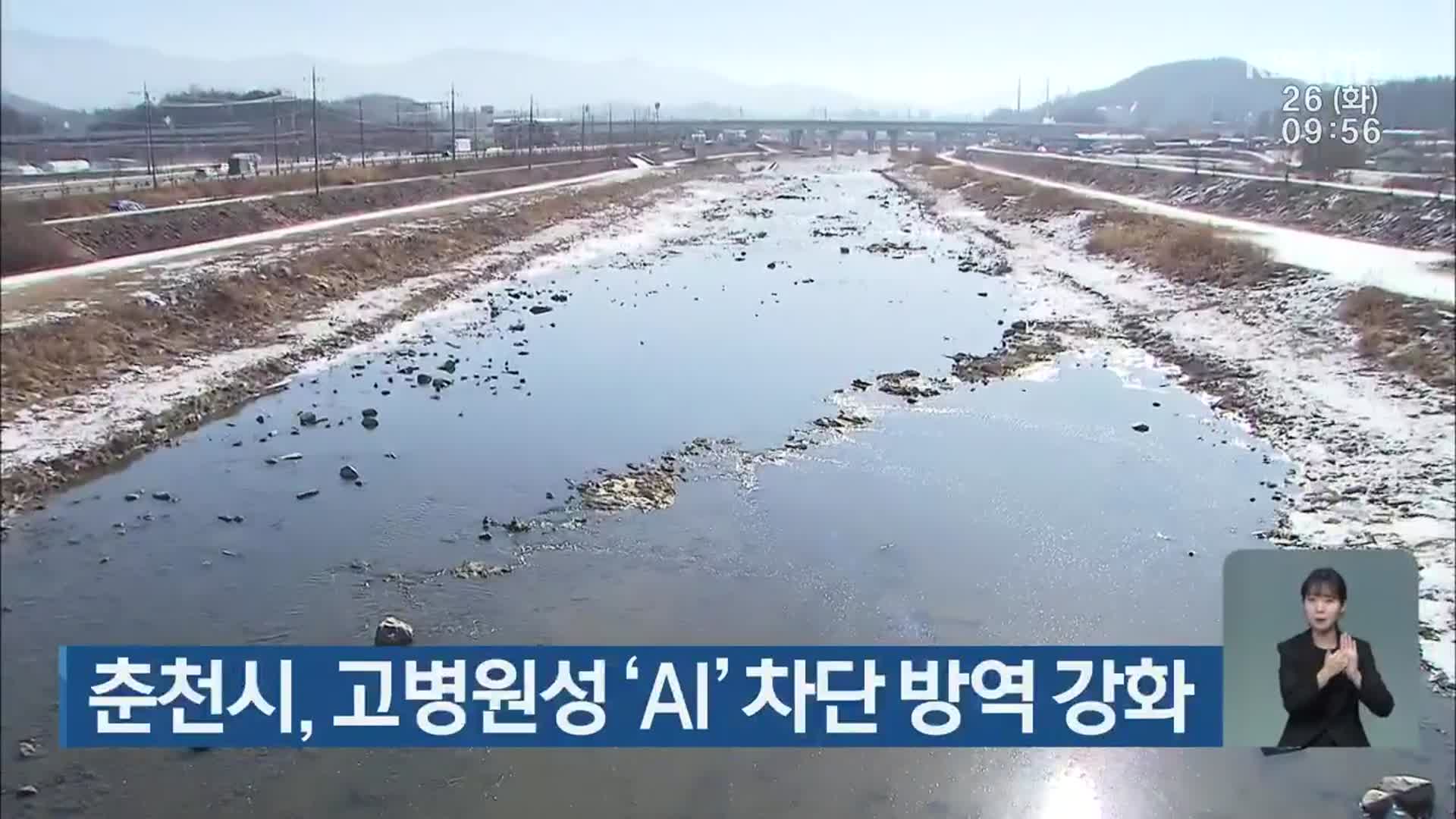 춘천시, 고병원성 ‘AI’ 차단 방역 강화