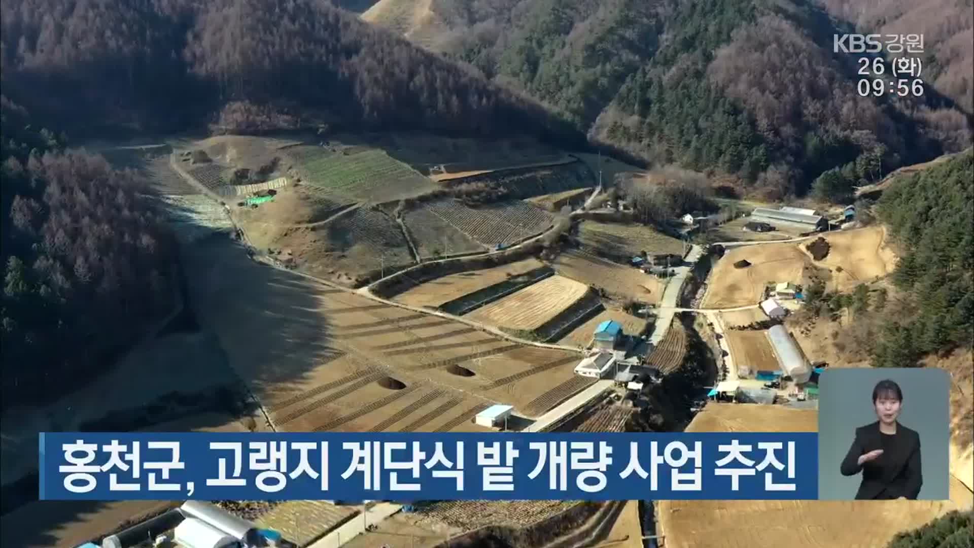 홍천군, 고랭지 계단식 밭 개량 사업 추진