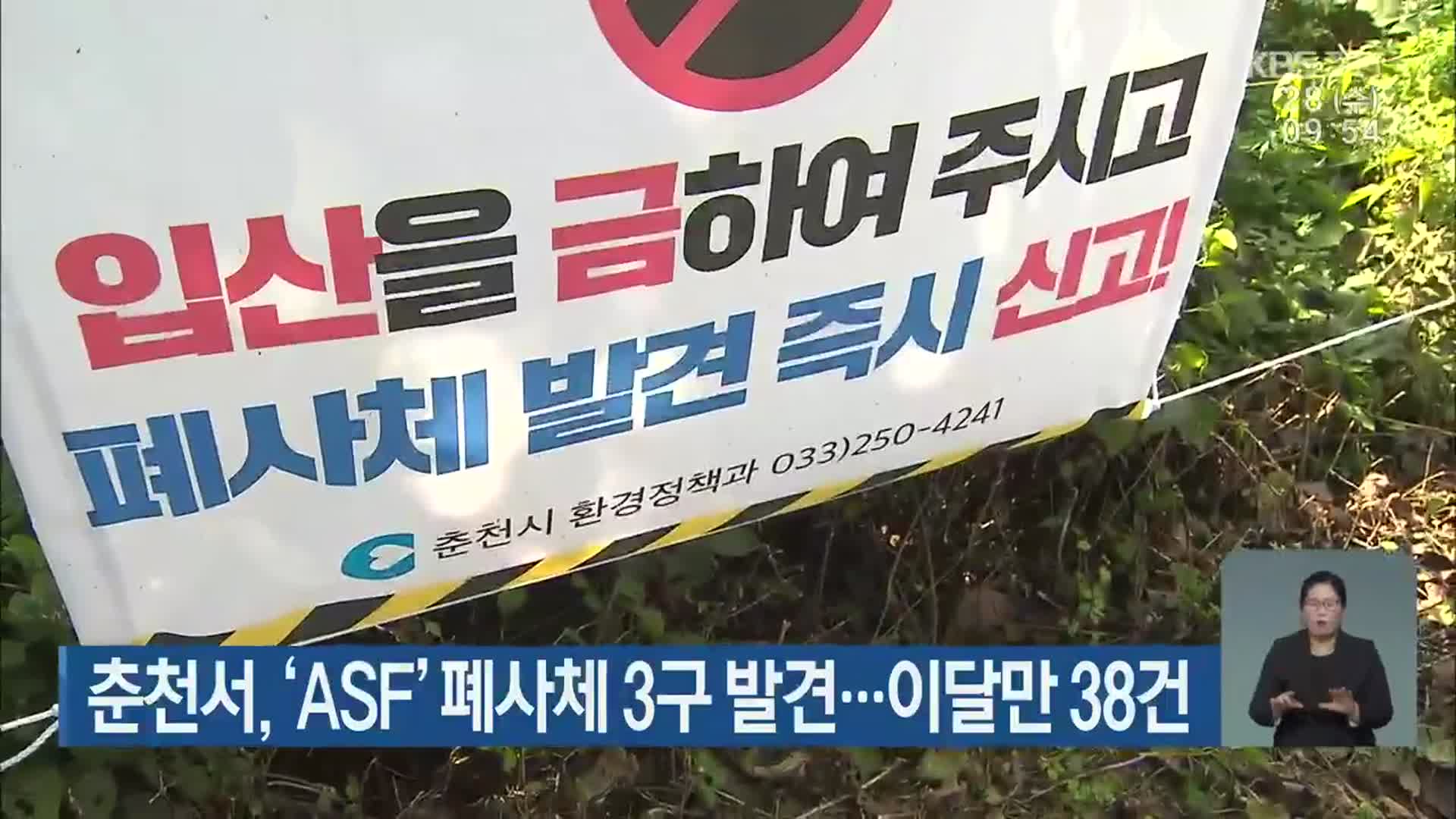 춘천서, ‘ASF’ 폐사체 3구 발견…이달만 38건