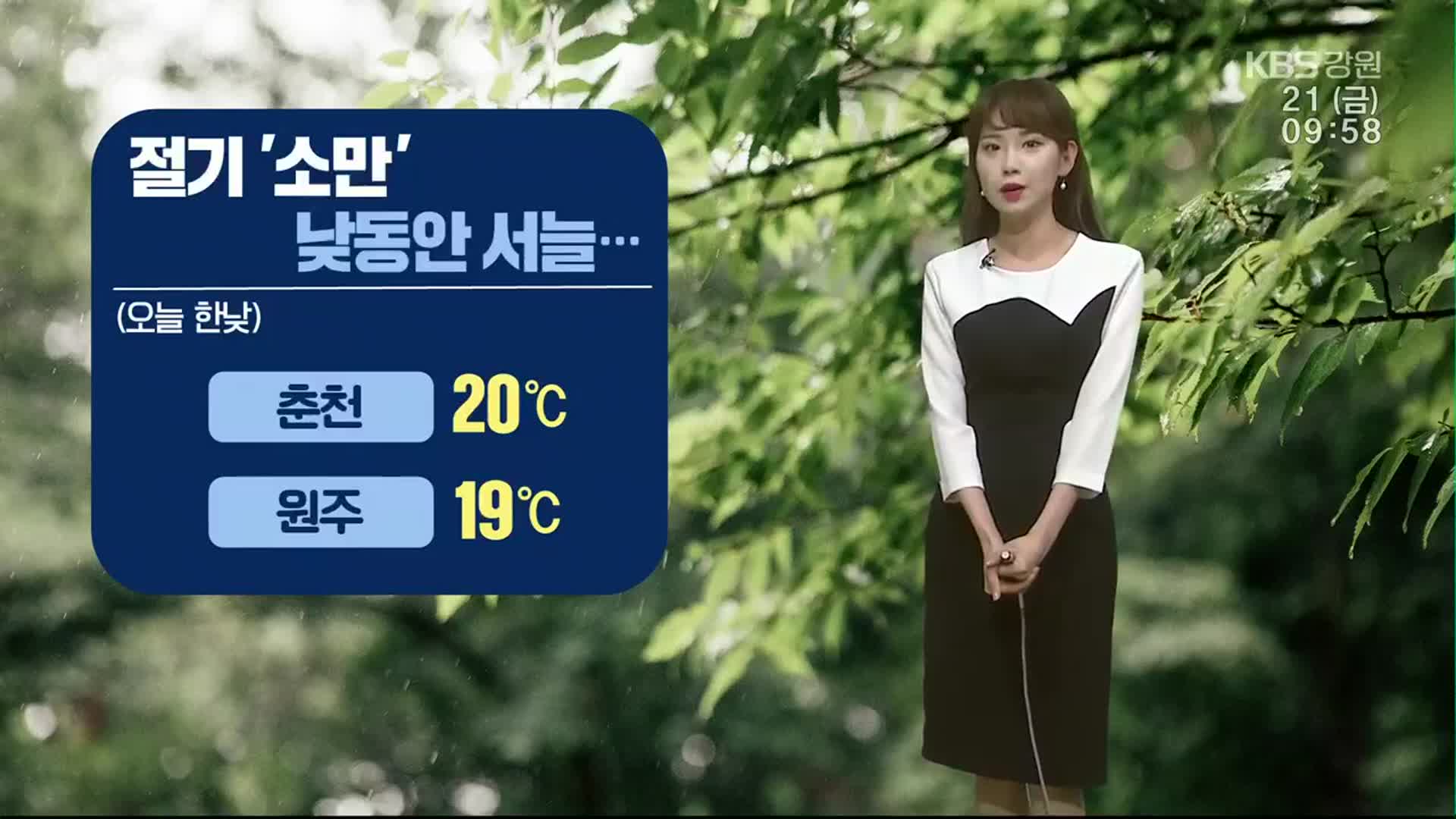[날씨] 강원 5mm 안팎 비…한낮 최고 20도