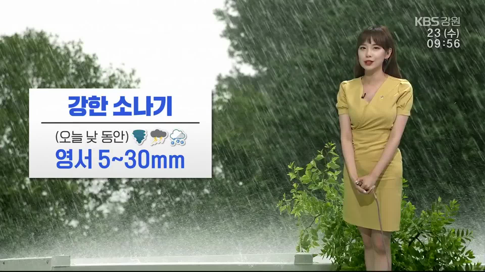 [날씨] 강원 영서 5~30mm 비…돌풍·천둥 동반한 소나기 유의