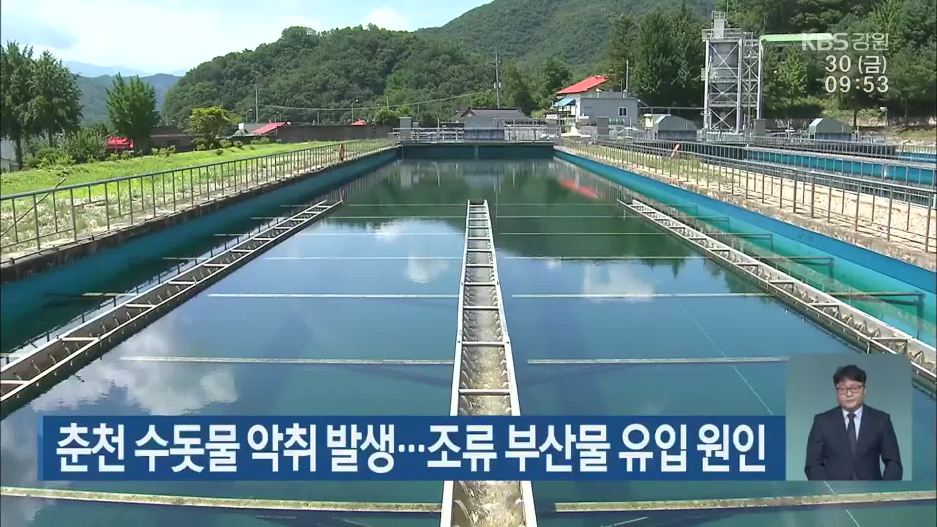 춘천 수돗물 악취 발생…조류 부산물 유입 원인