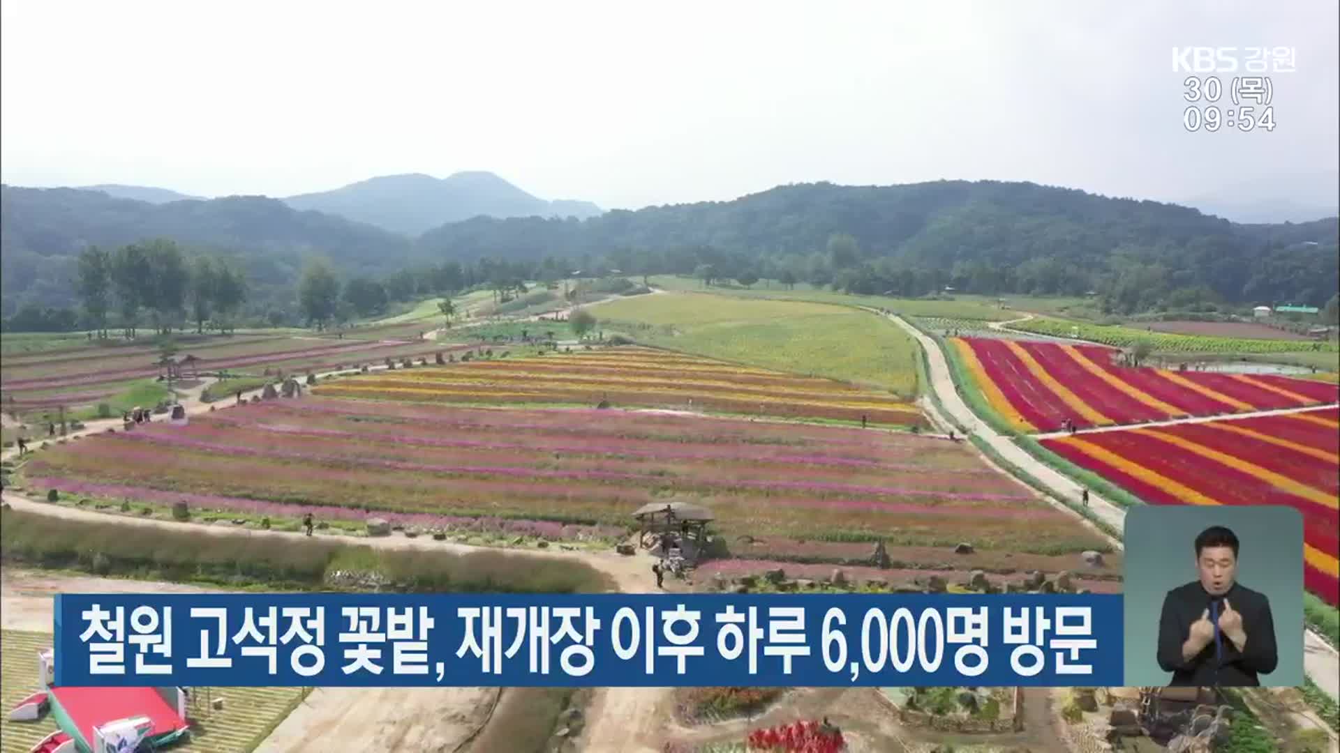 철원 고석정 꽃밭, 재개장 이후 하루 6,000명 방문