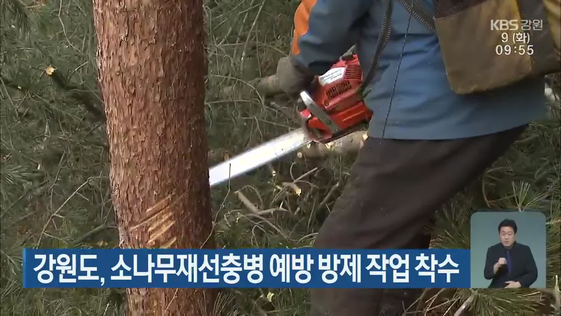 강원도, 소나무재선충병 예방 방제 작업 착수