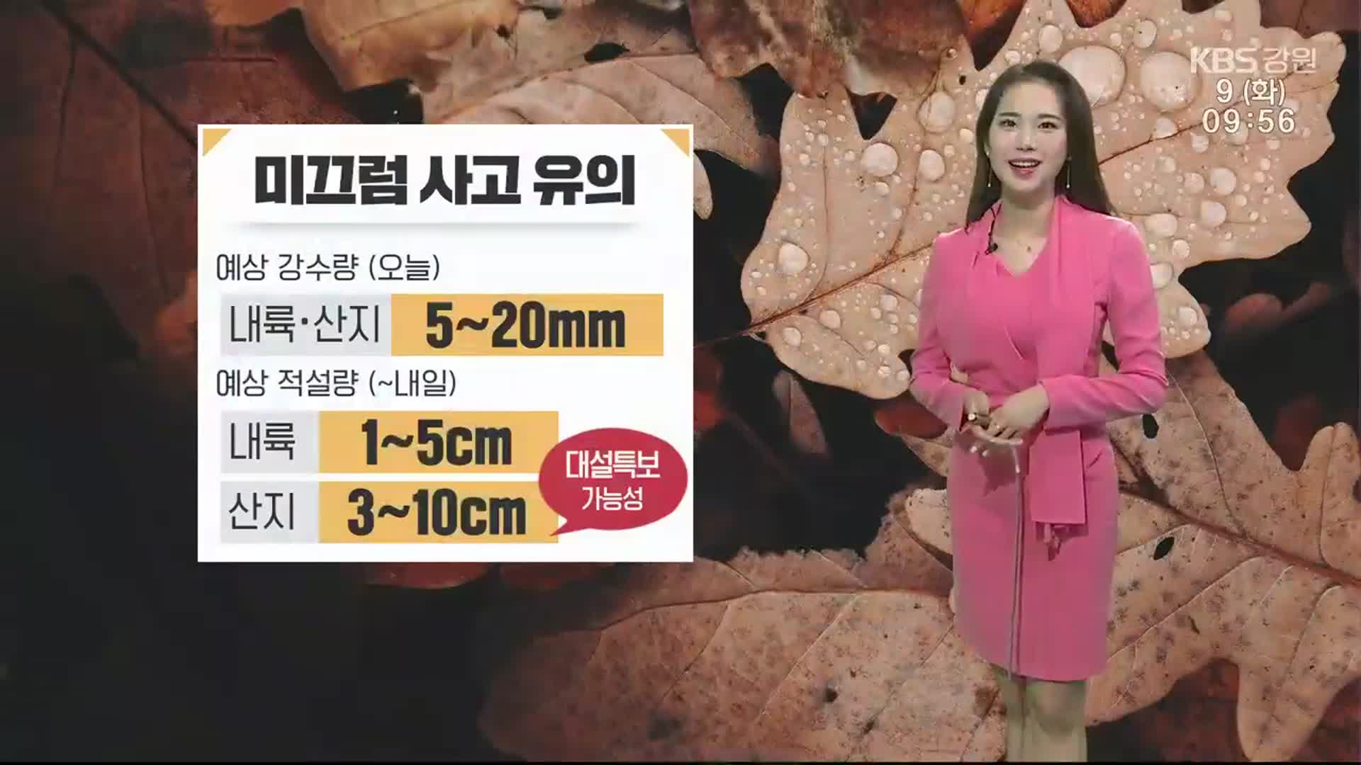 [날씨] 강원 5~20mm 비…산지 내일까지 최대 10cm 눈