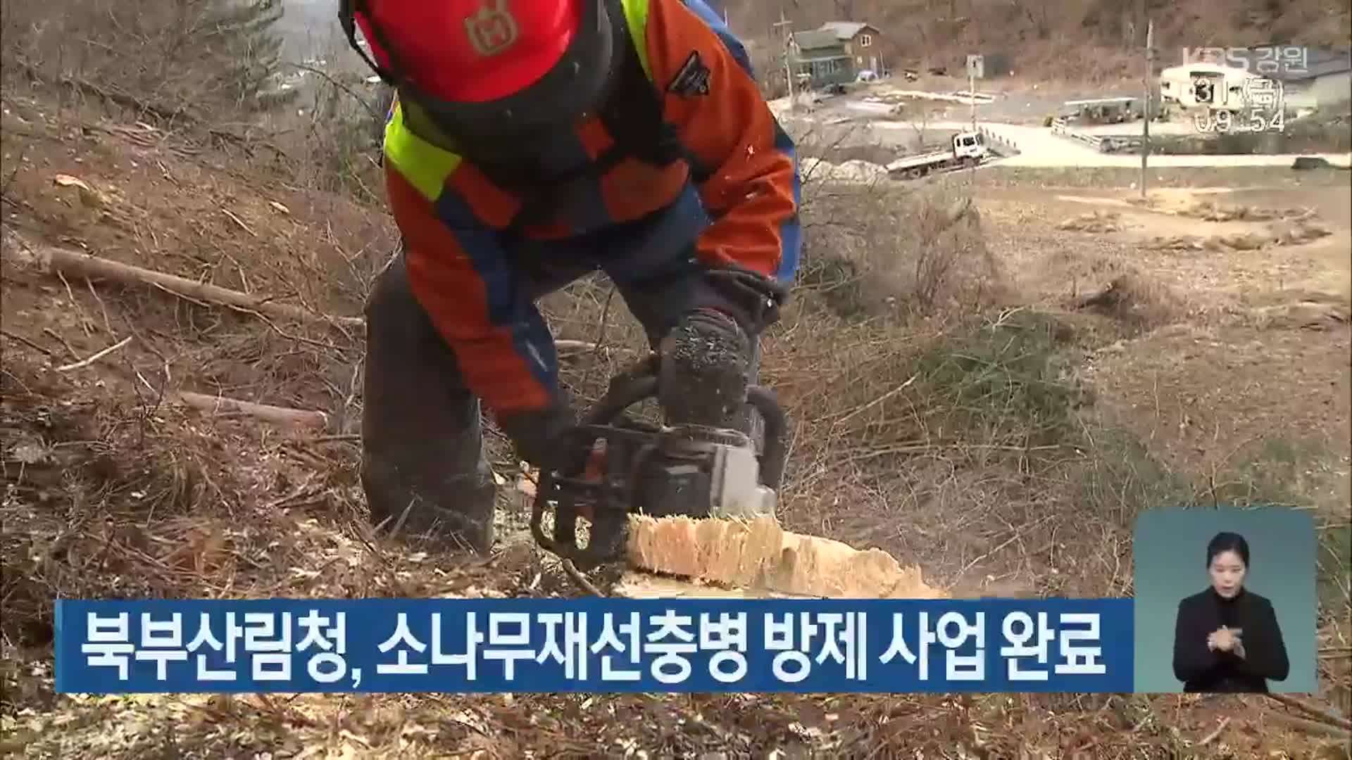 북부산림청, 소나무재선충병 방제 사업 완료