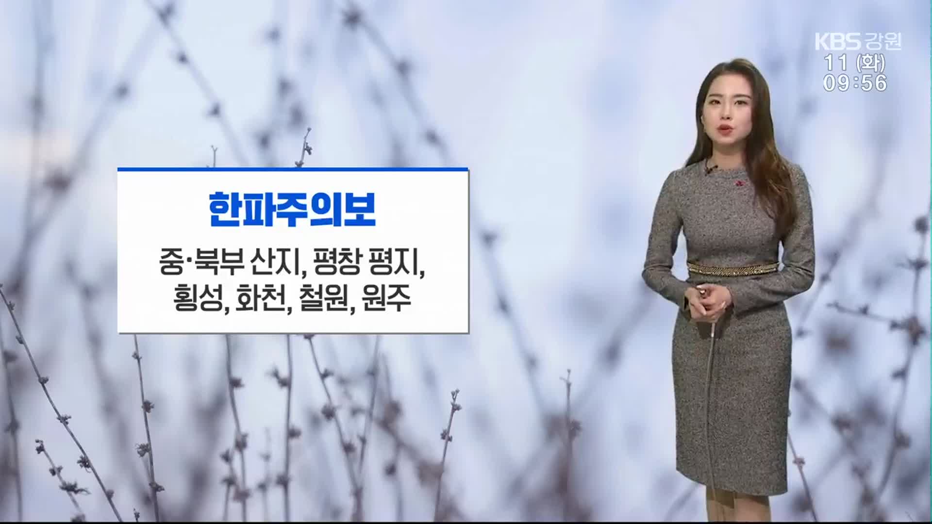 [날씨] 강원 중북부 산지 등 한파주의보…영하권 추위 이어져