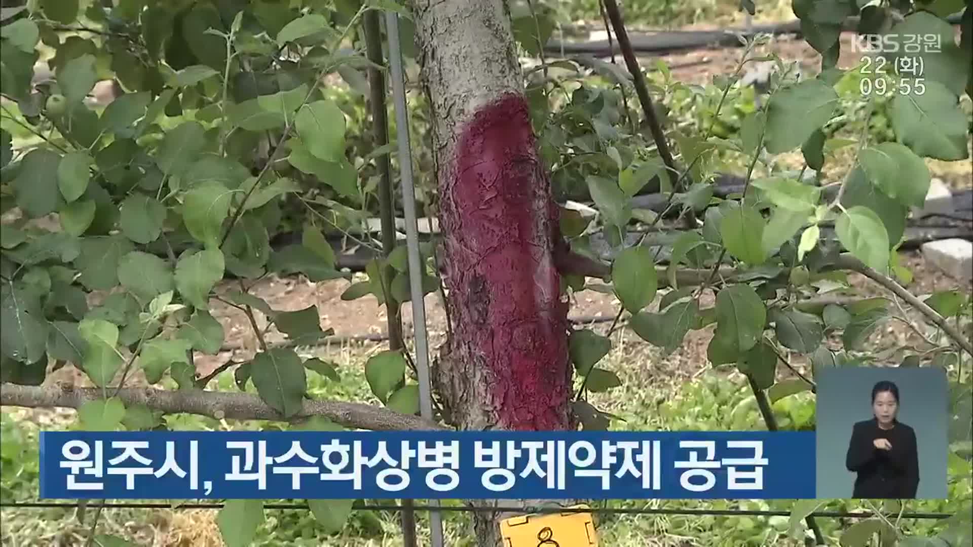 원주시, 과수화상병 방제약제 공급