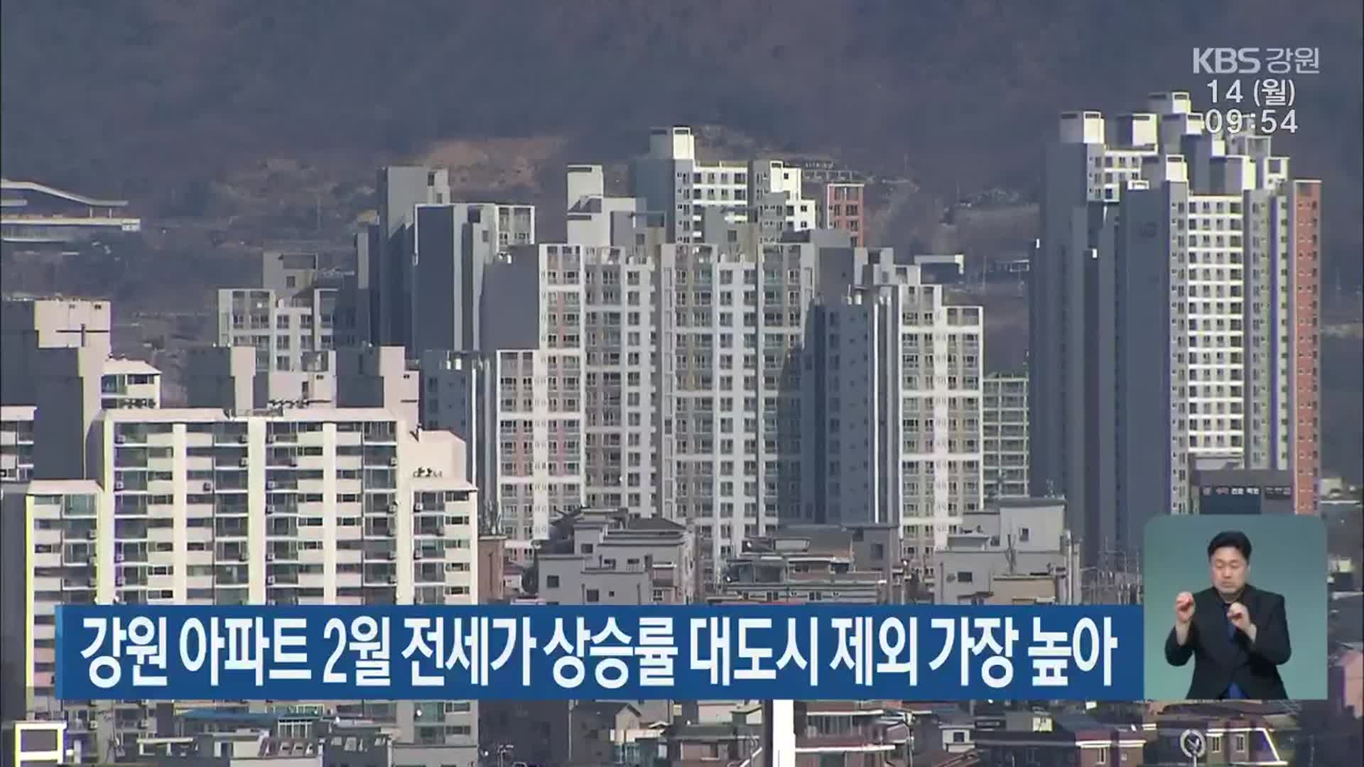 강원 아파트 2월 전세가 상승률 대도시 제외 가장 높아