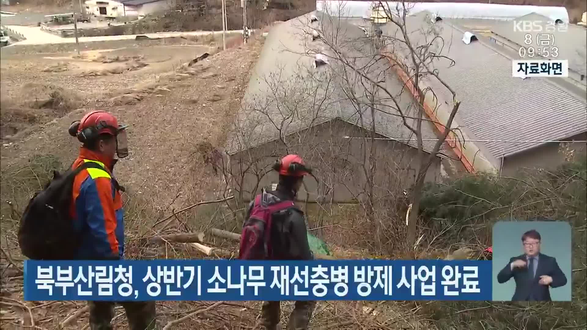 북부산림청, 상반기 소나무 재선충병 방제 사업 완료
