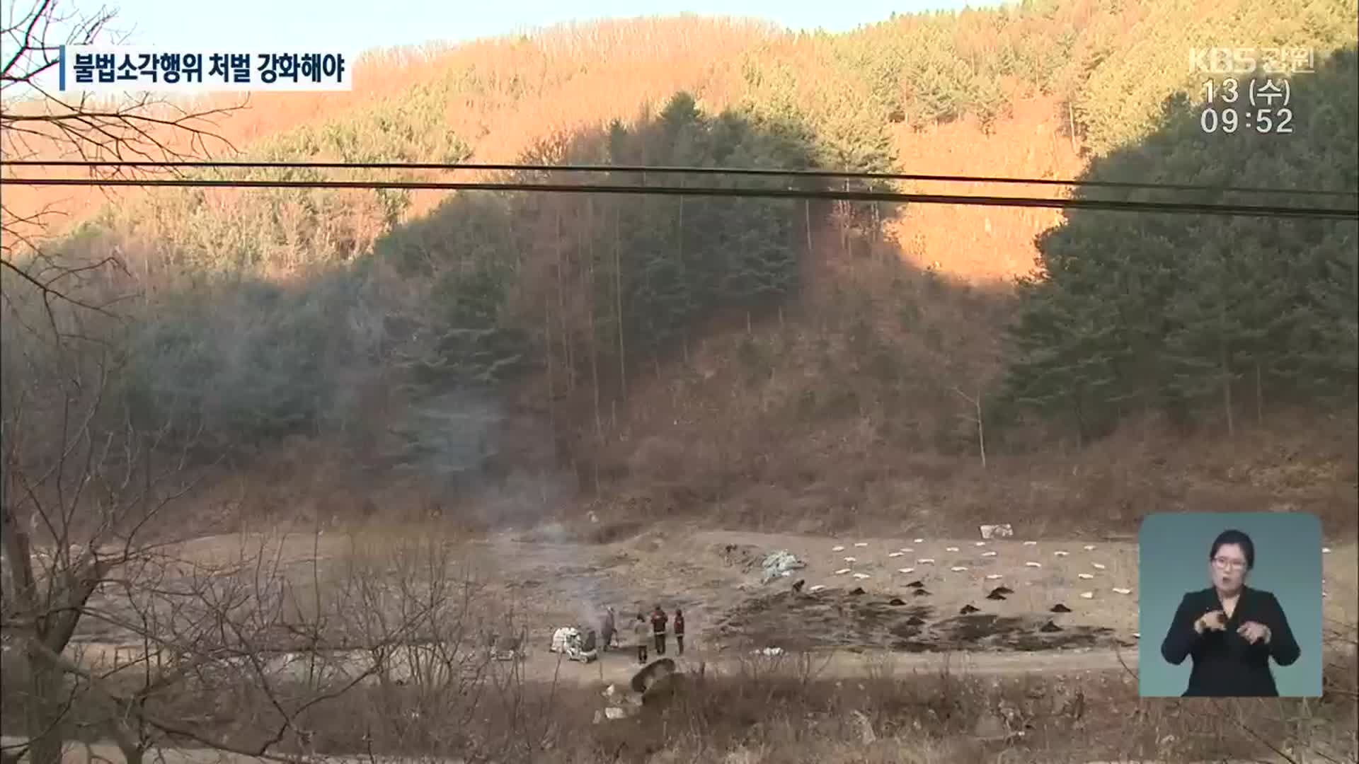 코앞이 숲인데…산림 인접지 불법 소각 여전