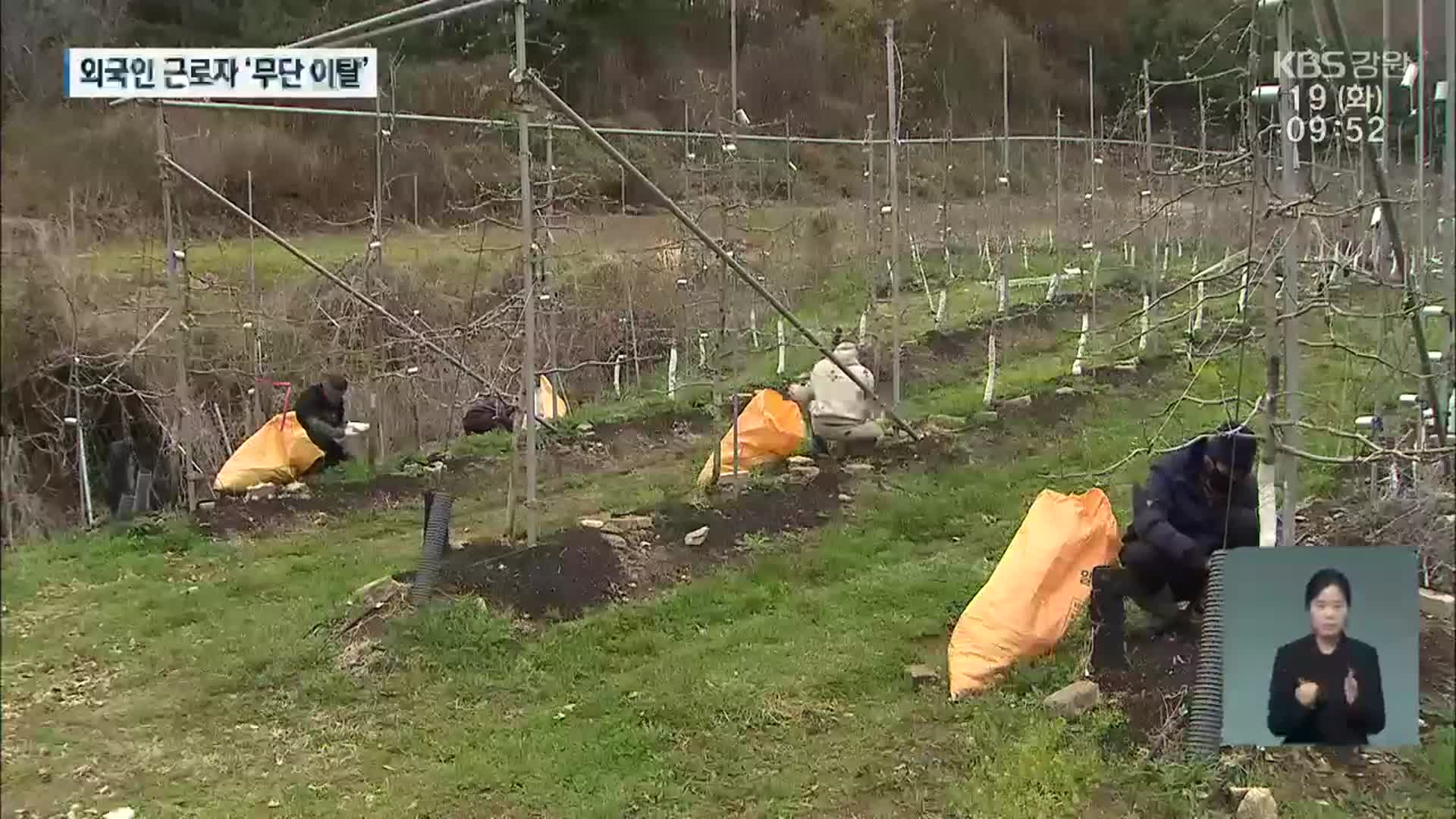 외국인 근로자, 또 무단 이탈…“봄 농사 어쩌나?”